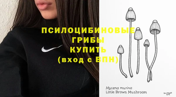 ALPHA-PVP Зеленокумск